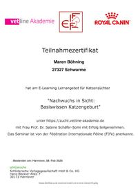 Zertifikat_Basiswissen_Katzengeburt_Ragdoll_Katze_Niedersachsen_Zucht_CaJoRo_1